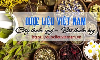 duoclieuvietnam-banner